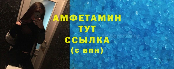 прущие грибы Тайга