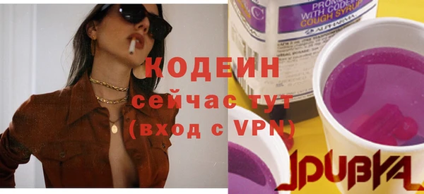 эйфоретик Бородино
