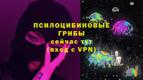 гашик Бугульма