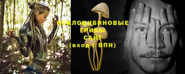 амф Бронницы