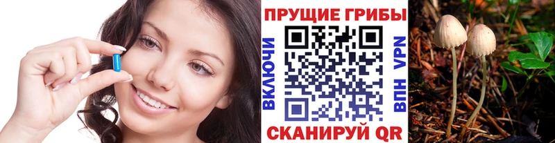 Галлюциногенные грибы прущие грибы  Зверево 